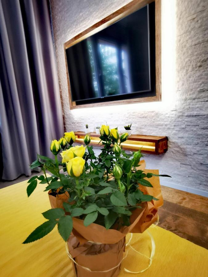 Apartament Przy Arsenale 弗罗茨瓦夫 外观 照片